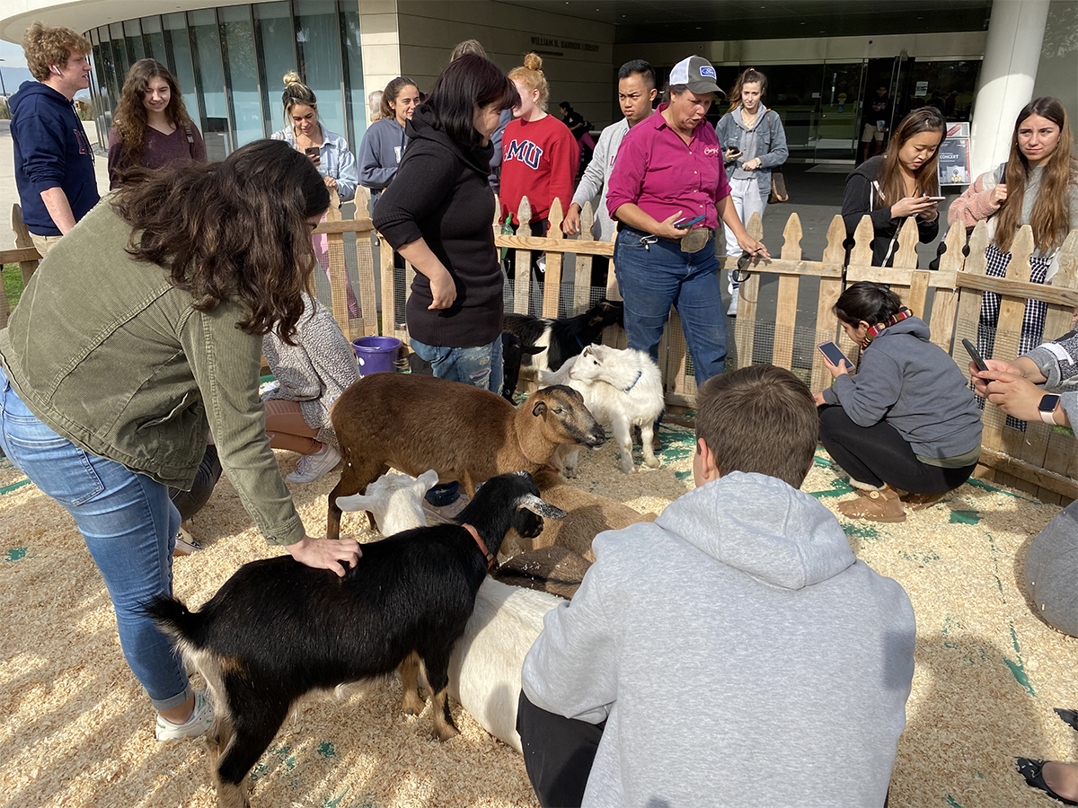 Students with farm animals