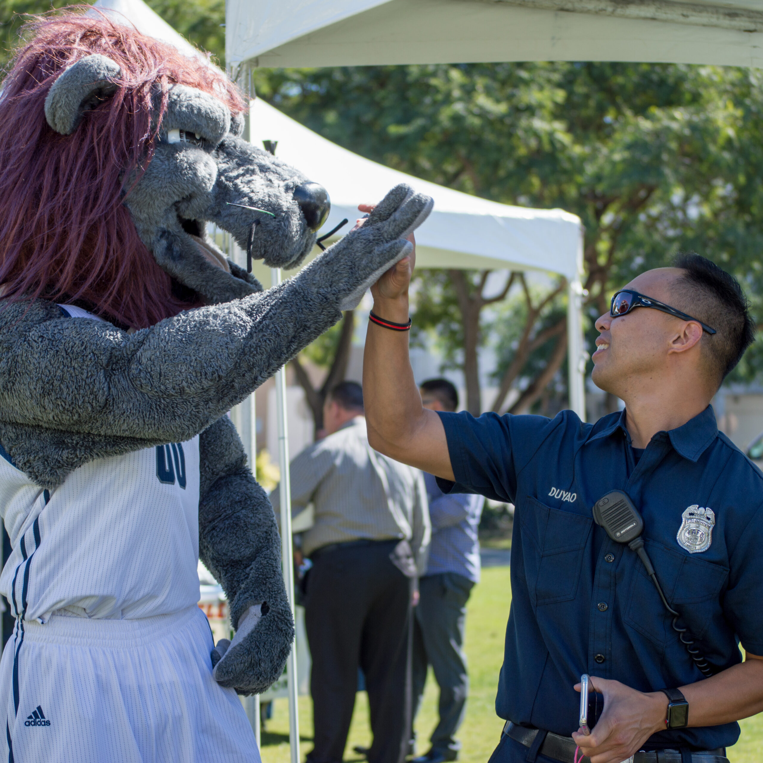 Iggy high-fiving a firefighter
