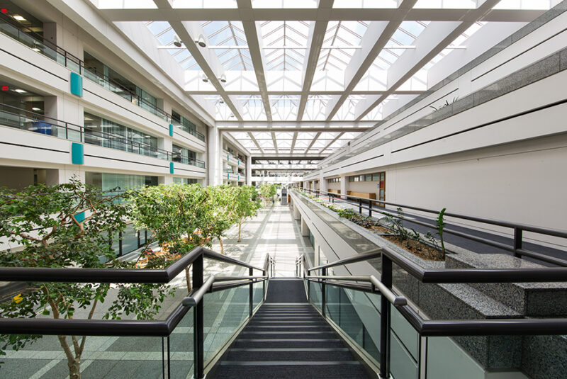 An interior shot of the trees and stairs inside University Hall.