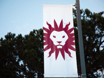 flagpole banner of red LMU lion head icon