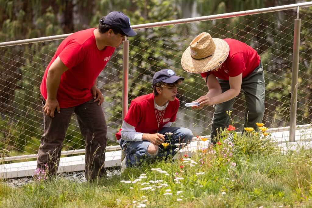 Schmit and his research team worked with the Bay Foundation this summer
