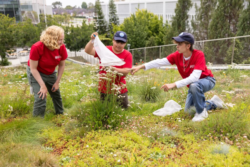 Eisen's summer research students collecting specimens on LSB's rooftop garden