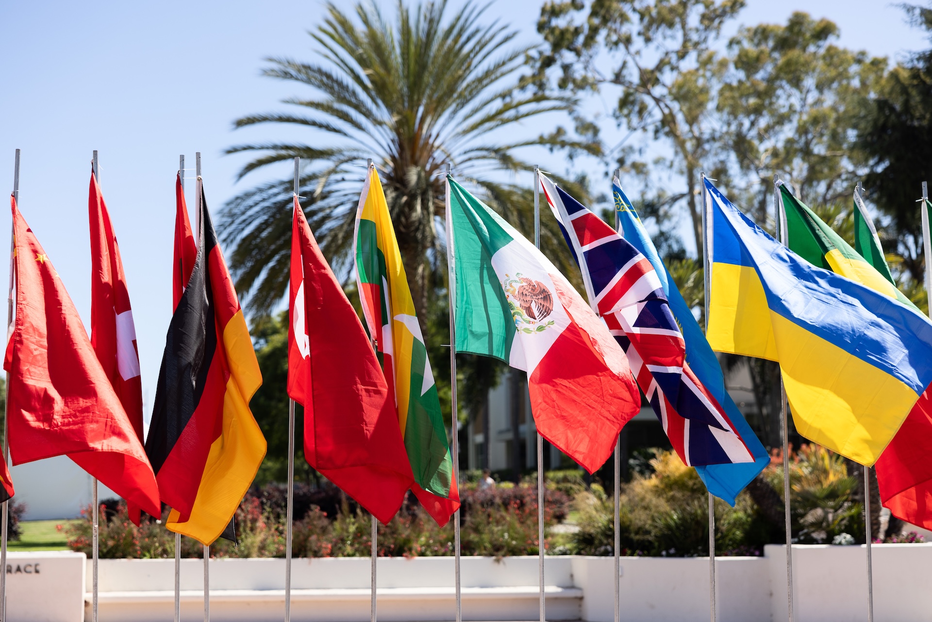 International Flags at LMU