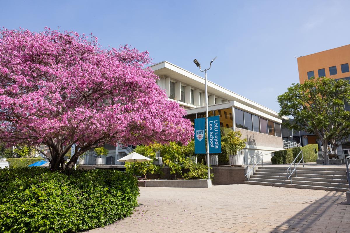 LMU Loyola Law School campus scene