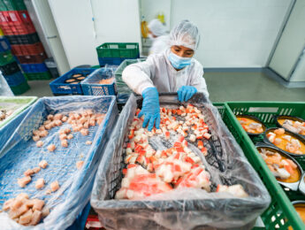 Fish factory worker conducts quality control