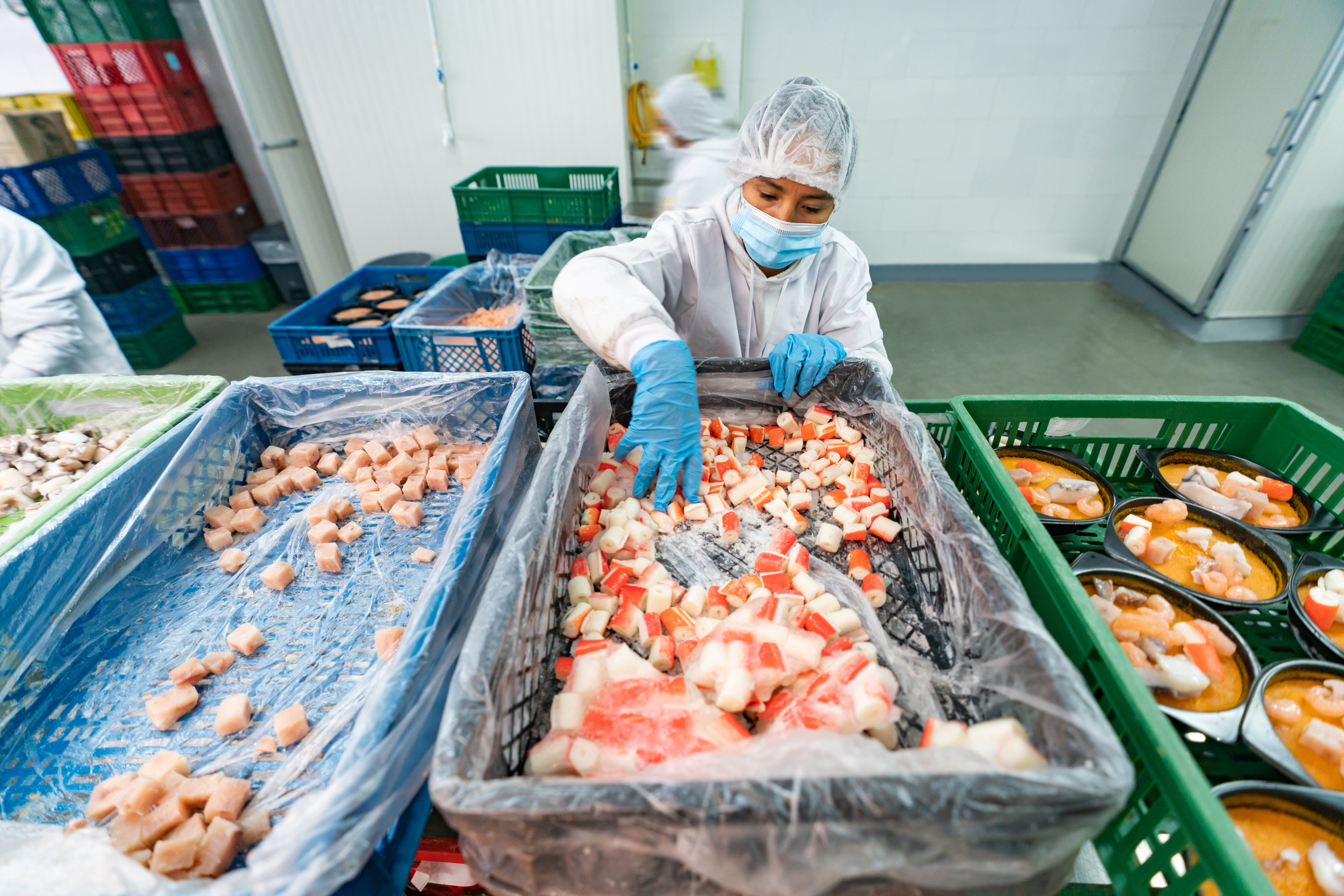 Fish factory worker conducts quality control