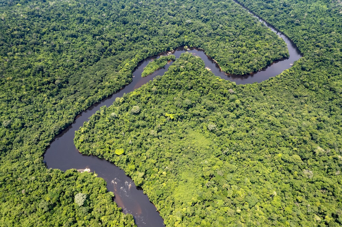 Aerial view over a the Cristalino river in Amazonas