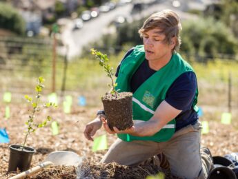 Demian Willette's Micro-Forest Planting at Ascot Hills Park