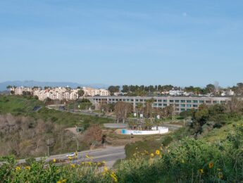 LMU campus from a distance with LMU signage and wildflowers.