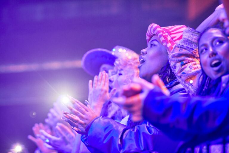 A crowd watching a concert