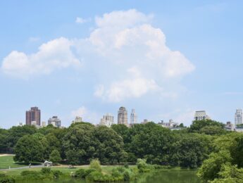 Central Park, NYC