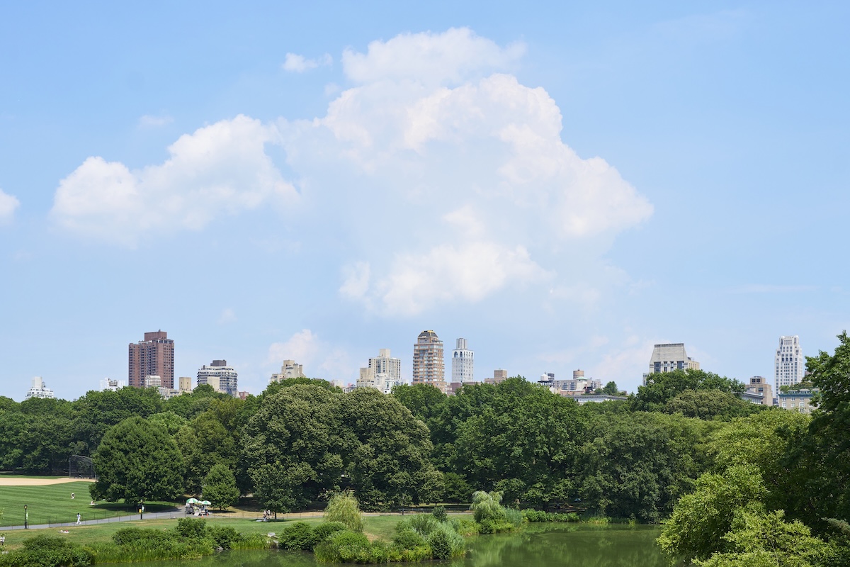 Central Park, NYC