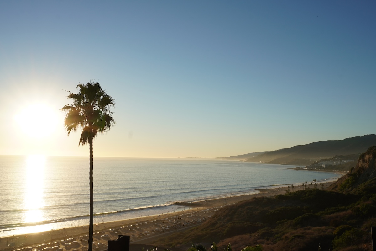 Pacific Palisades beach with palm tree