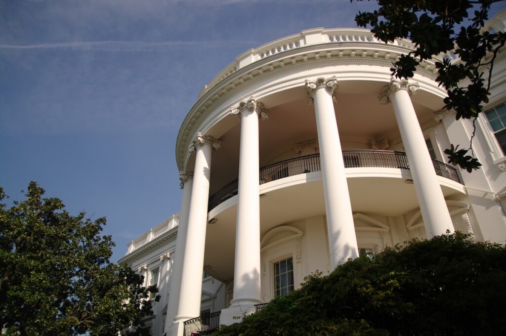 CNN | Trump Hosts Ultimate Fighting Championship Bouts on White House Lawn