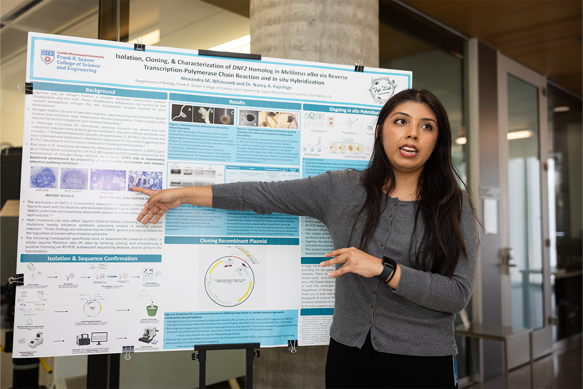 Female Seaver student pointing at their poster at 2026 Summer Poster presentation for SOAR Anniversary