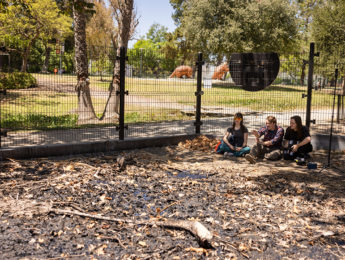 Two LMU environmental science students sitting with professor near tar pit in LA's La Brea Tar Pits