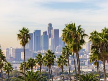 Los Angeles California with Palm trees in the foreground.