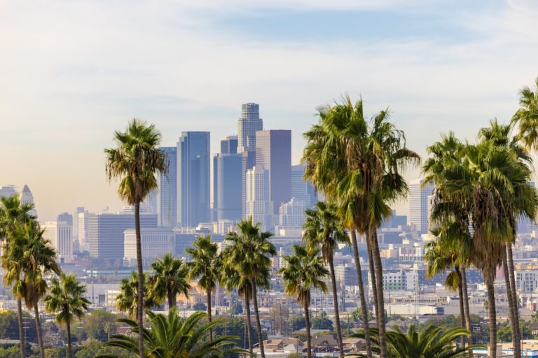 Los Angeles California with Palm trees in the foreground.