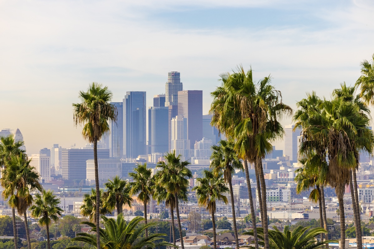 Los Angeles California with Palm trees in the foreground.