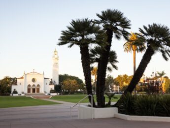 Three palm trees in front of LMU's Sacred Heart Chapel