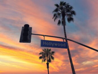 Hollywood street sign and traffic light with Palmtrees, Los Angeles
