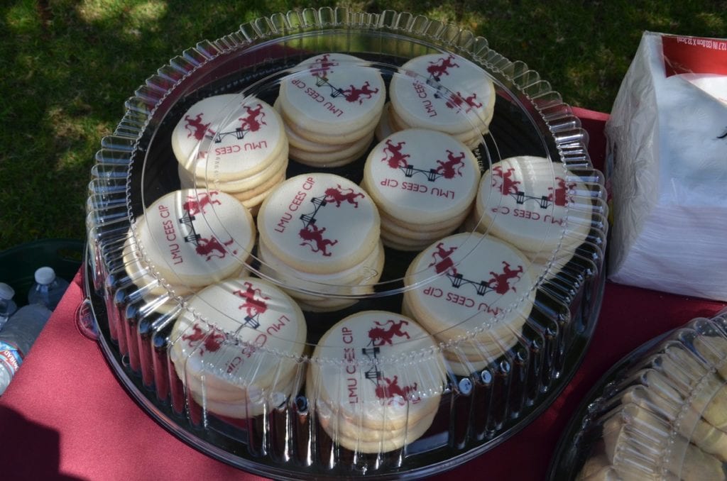 Cookies with the CIP Mixer logo