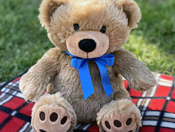 Tedi Health, is a cuddly, interactive teddy bear .