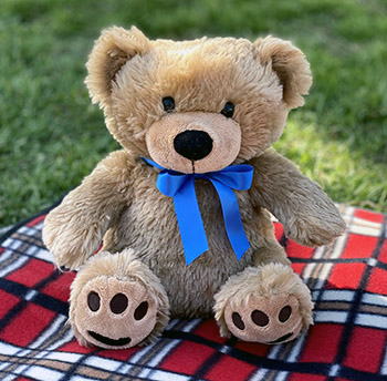 Tedi Health, is a cuddly, interactive teddy bear .