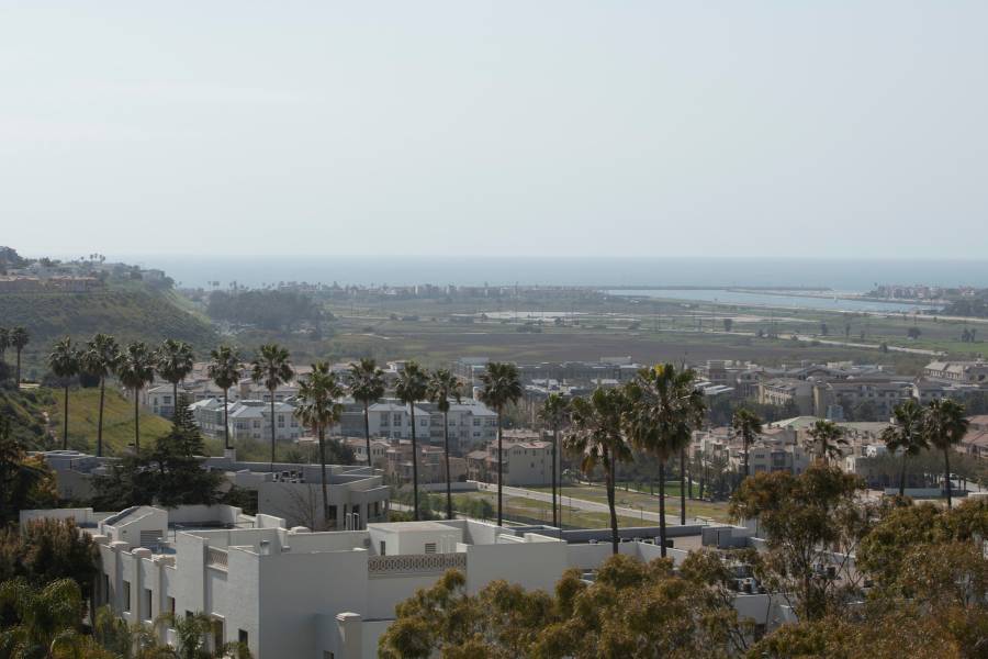 Ballona Wetlands view from LMU