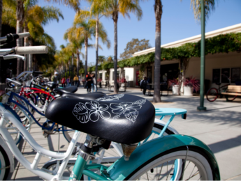 Image of bicycles on campus