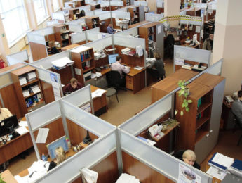 workers in cubicles
