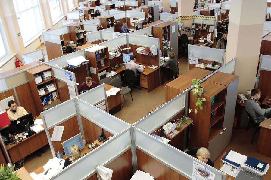 workers in cubicles
