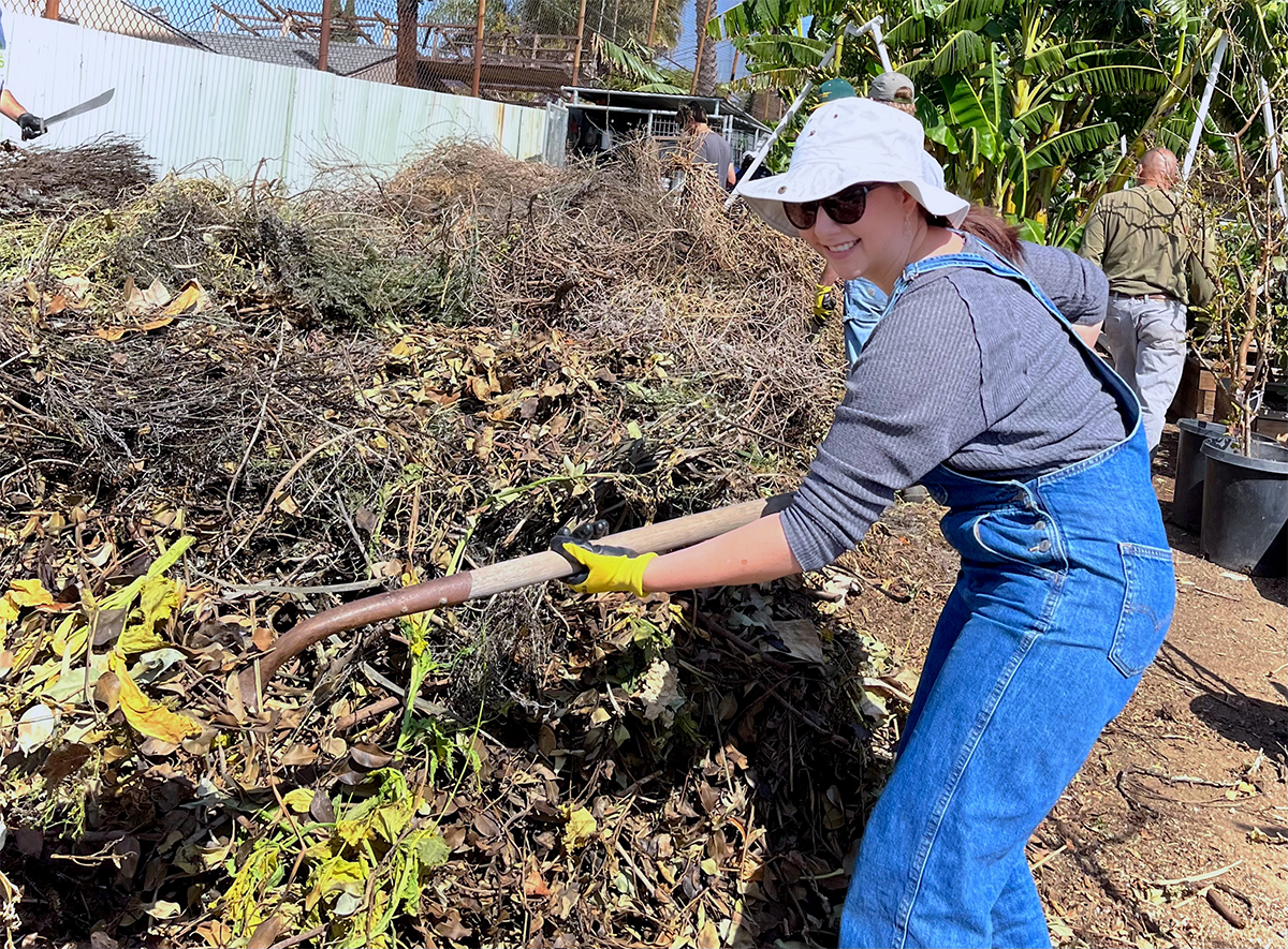 Image of a staff member working in a garden