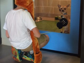 Young boy talking to a small dog through a glass door