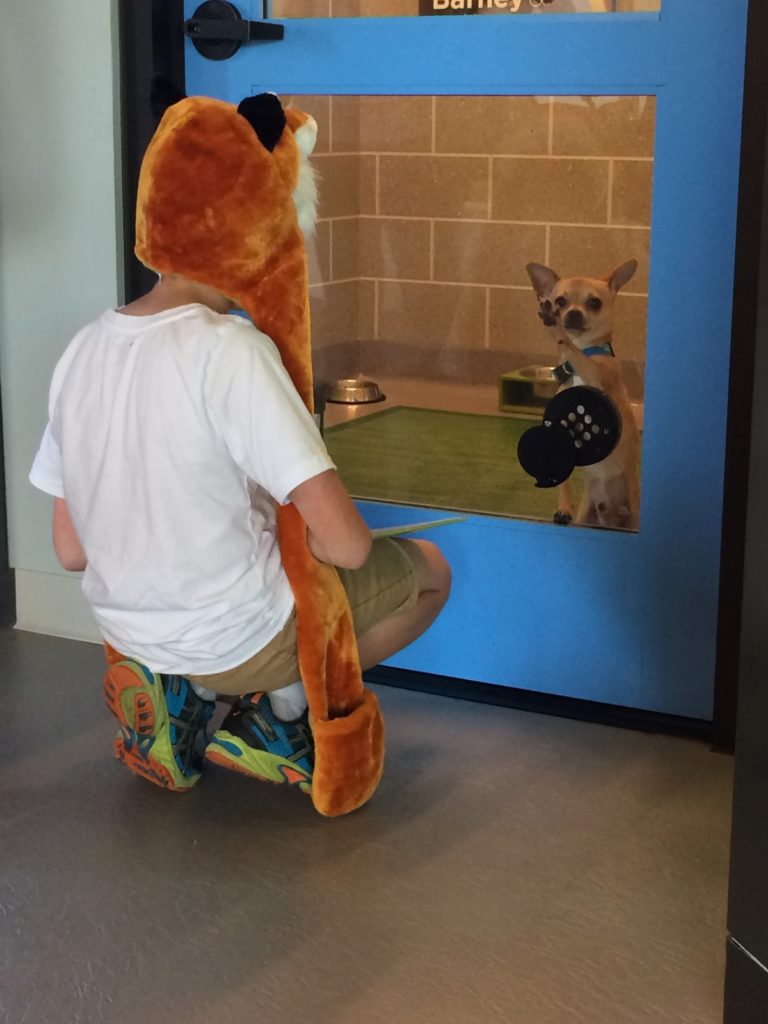 Young boy talking to a small dog through a glass door