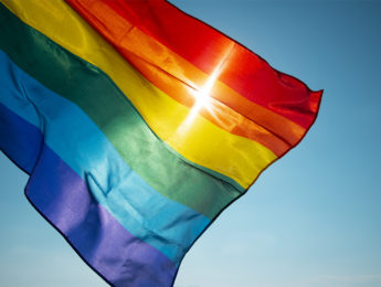 Image of a PRIDE Flag