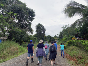 Image of staff walking through the jungle