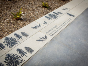 Plant sidewalk timeline near LMU Life Sciences Building