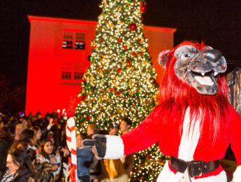 Iggy standing outside at night in front of the LMU Christmas Tree during the annual tree lighting event.