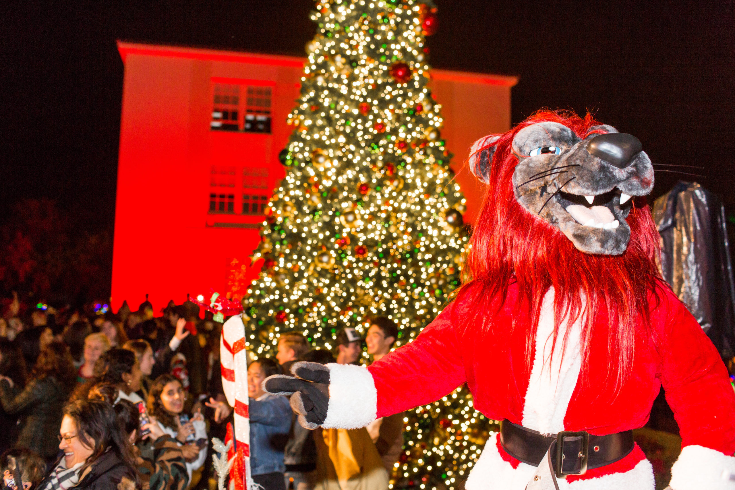 Iggy standing outside at night in front of the LMU Christmas Tree during the annual tree lighting event.