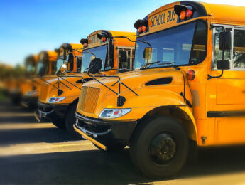 View of front end of gold colored public transportation vehicles used in American education system in a line showing windshields and engine grills