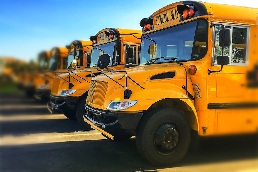 View of front end of gold colored public transportation vehicles used in American education system in a line showing windshields and engine grills