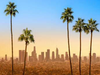 the skyline of los angeles with palm trees