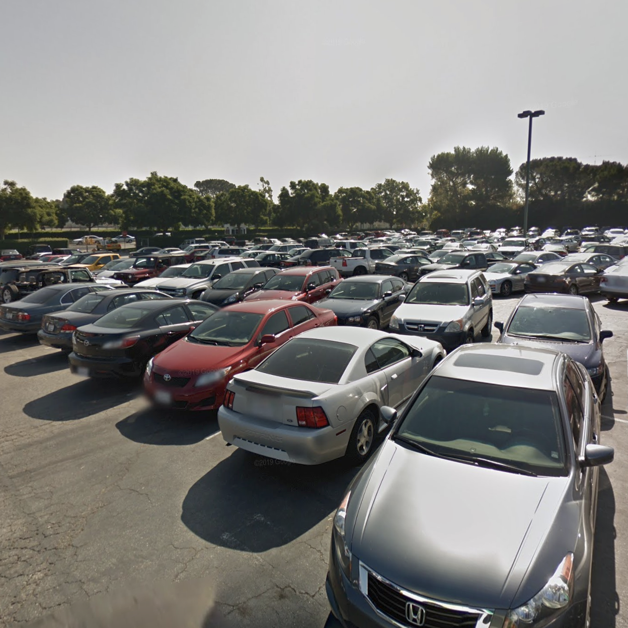 Cars in a parking lot
