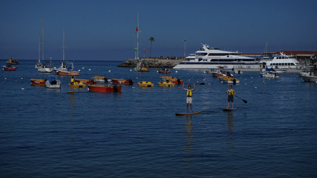 Students paddleboarding on the ocean during the first day trip to Catalina Island