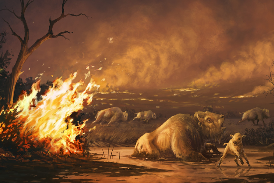 Illustration of bison entrapped in asphalt as wildfires rage