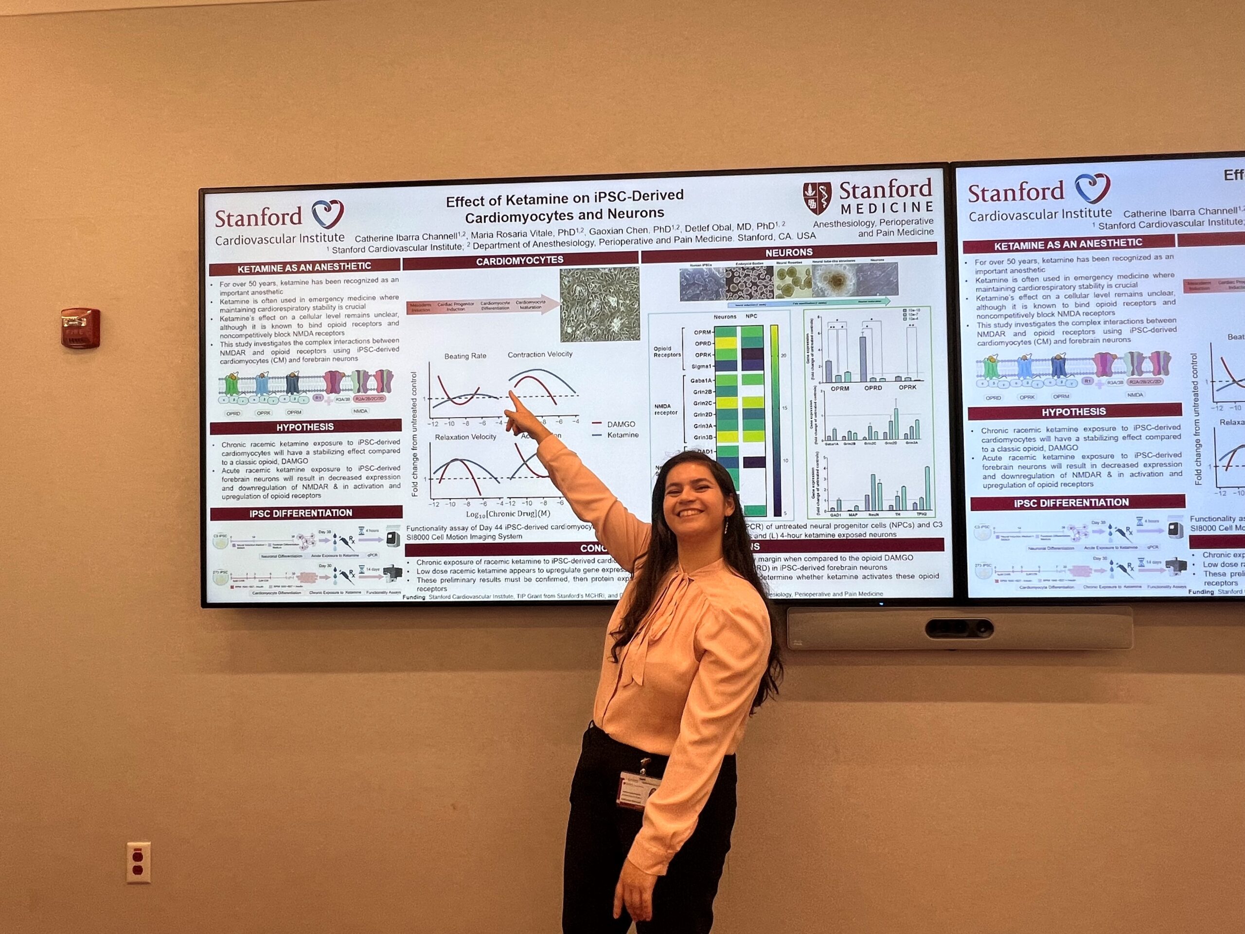 Student pointing to a research presentation poster